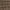 Estampado beige