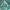 Estampado verde