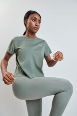 Dash and Stars Camiseta manga corta extra suave verde verde