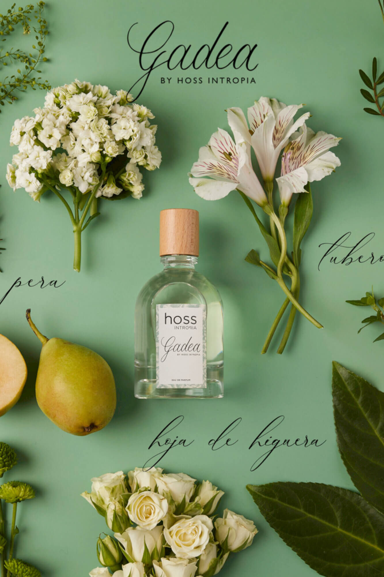 Hoss Intropia Gadea. Perfume Hoss Intropia