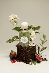 Hoss Intropia Hoss Intropia Siesta in the Garden Eau De Parfum Verde