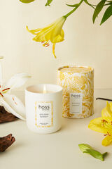 Hoss Intropia Vela Hoss Intropia Golden Sunset Amarillo