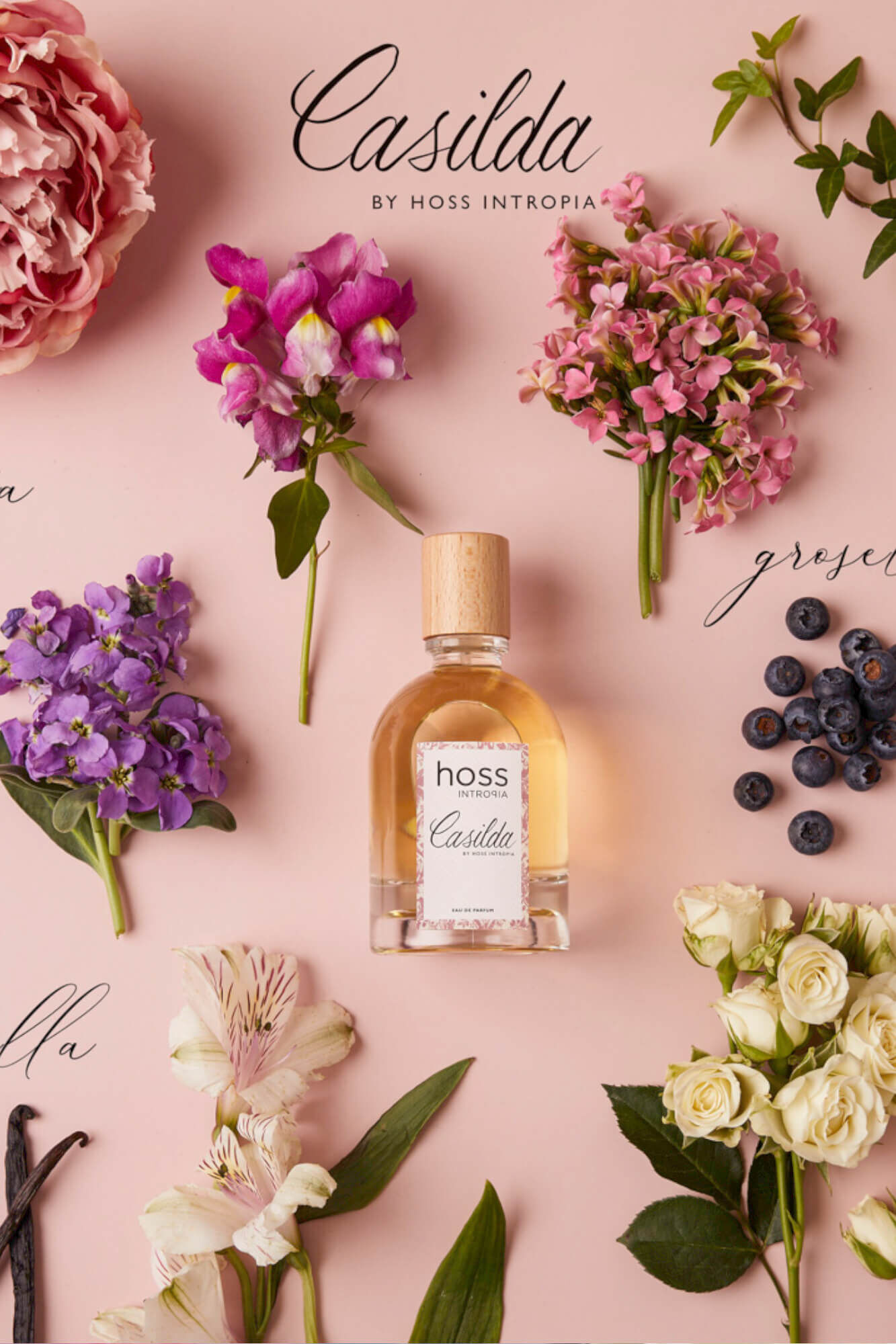 Hoss Intropia Casilda. Fragancia Hoss Intropia 100ml
