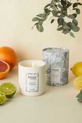 Hoss Intropia Vela Hoss Intropia Crystal Waters Azul